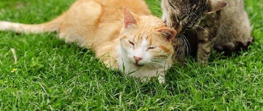 A業界の常識は、B業界では、とても新鮮
